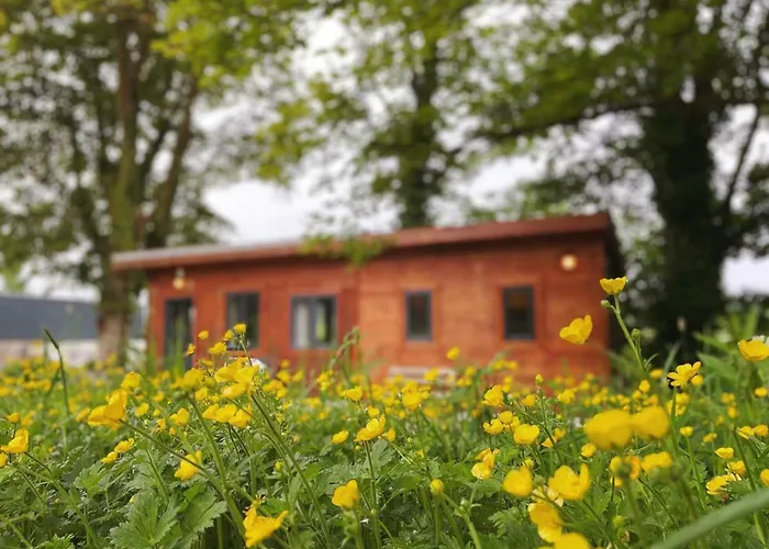 Apartment Scenic Countryside Romantic & Pet-friendly